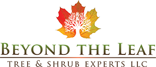 Beyond The Leaf logo